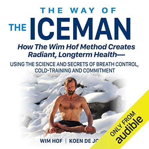 The Way of the Iceman cover art