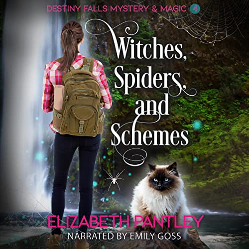 Witches, Spiders, and Schemes Audiolibro Por Elizabeth Pantley arte de portada