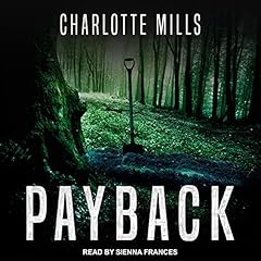 Payback cover art