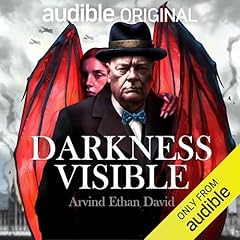 Darkness Visible Audiobook By Arvind Ethan David cover art