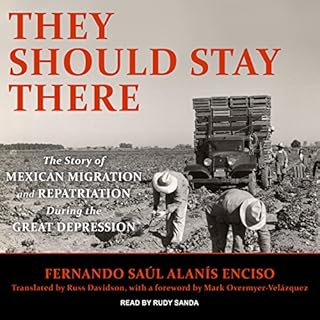 They Should Stay There Audiobook By Fernando Saul Alanis Enciso, Russ Davidson, Mark Overmyer-Velazquez cover art