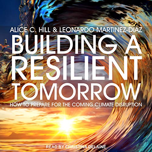 Building a Resilient Tomorrow Audiobook By Alice C. Hill, Leonardo Martinez-Diaz cover art