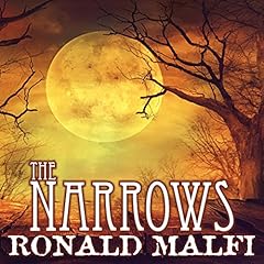 The Narrows cover art