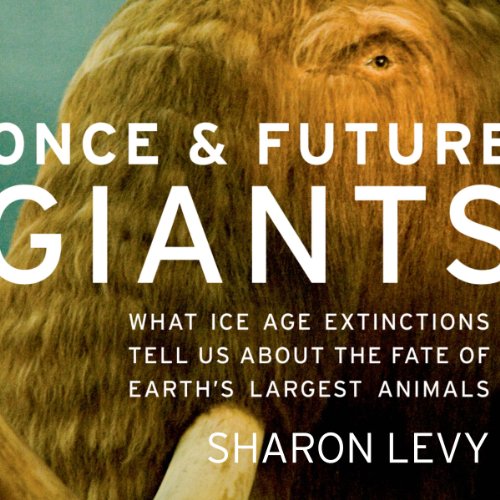 Once and Future Giants Audiolibro Por Sharon Levy arte de portada