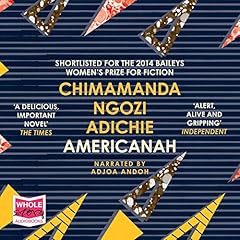 Americanah cover art