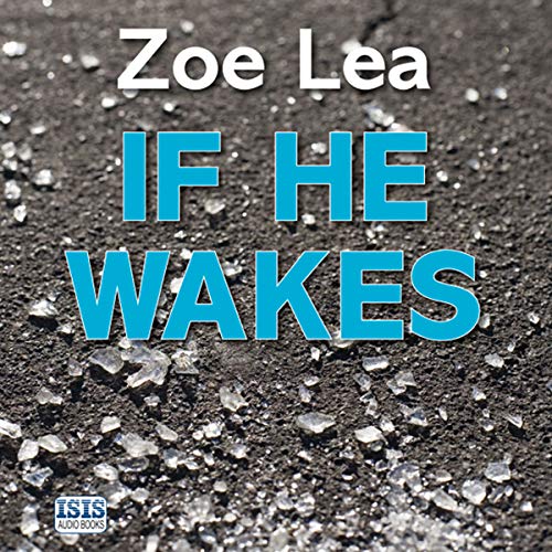 If He Wakes Audiobook By Zoe Lea cover art