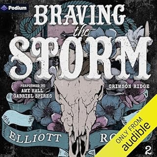 Braving the Storm Audiolibro Por Elliott Rose arte de portada