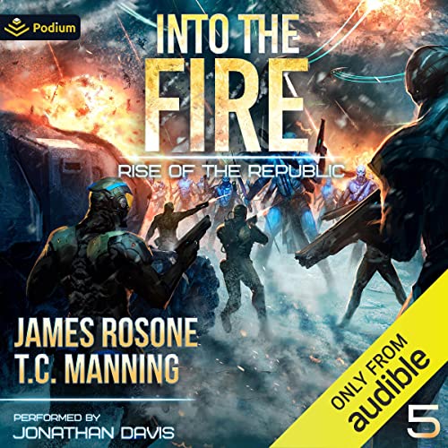 Into the Fire cover art