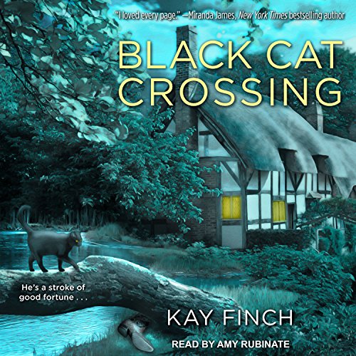 Black Cat Crossing cover art