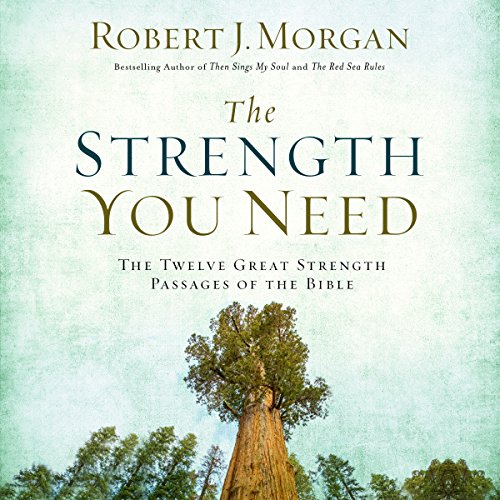 The Strength You Need cover art