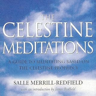 The Celestine Meditations Audiobook By Salle Merrill Redfield cover art