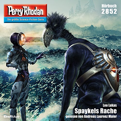 Spaykels Rache cover art