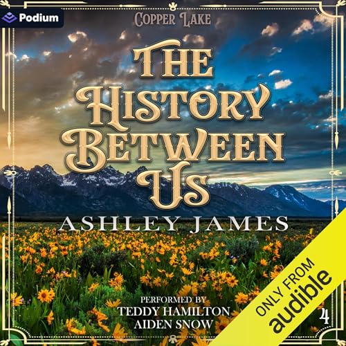 The History Between Us cover art