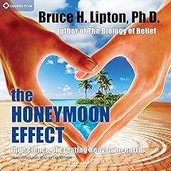 The Honeymoon Effect cover art