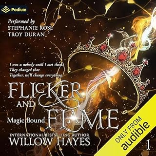 Flicker and Flame Audiolibro Por Willow Hayes arte de portada