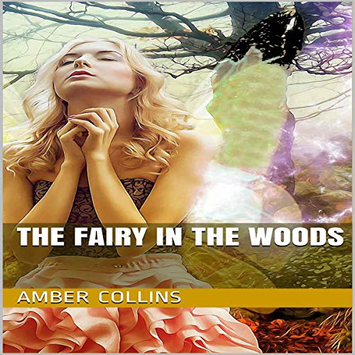 The Fairy in the Woods cover art