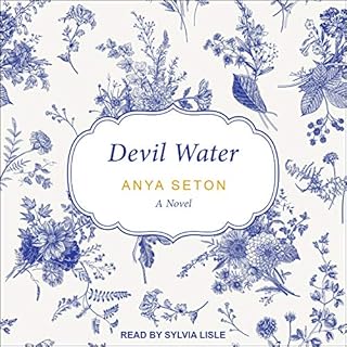 Devil Water Audiolibro Por Anya Seton arte de portada