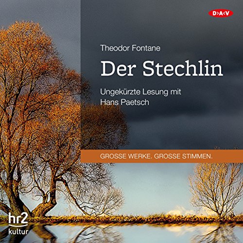 Der Stechlin Audiolibro Por Theodor Fontane arte de portada