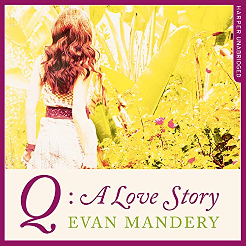 Q: A Love Story Audiolibro Por Evan Mandery arte de portada