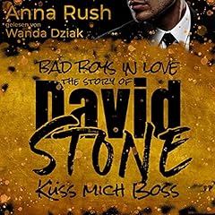 The Story of David Stone (German Edition) Audiobook By Anna Rush cover art