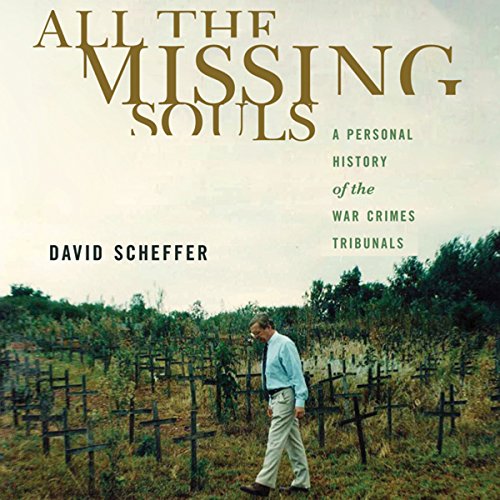 All the Missing Souls Audiobook By David Scheffer cover art