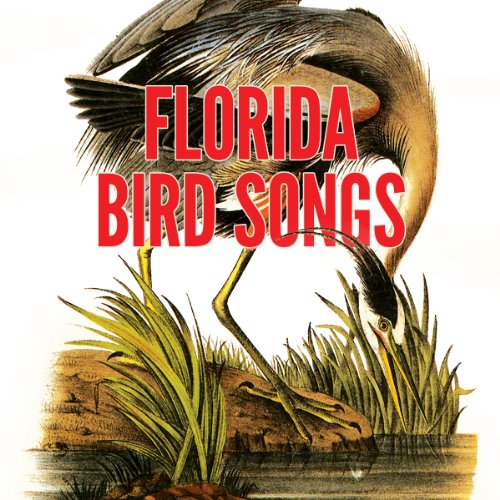 Florida Bird Songs cover art