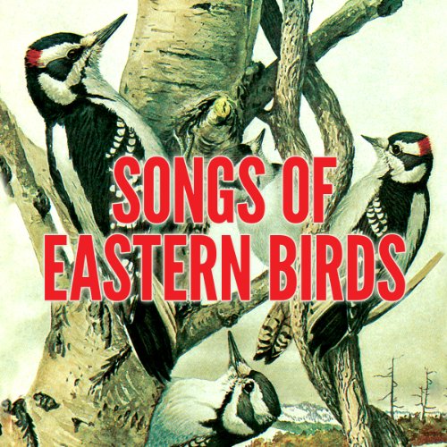 Songs of Eastern Birds cover art