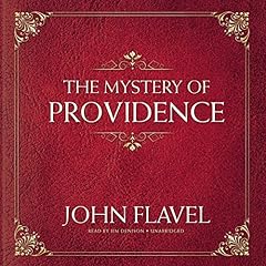 The Mystery of Providence cover art