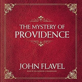 The Mystery of Providence Audiolibro Por John Flavel arte de portada