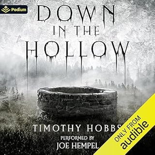 Down in the Hollow Audiobook By Timothy Hobbs cover art