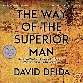 The Way of the Superior Man Audiobook By David Deida cover art