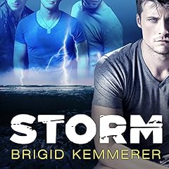 Storm Audiobook By Brigid Kemmerer cover art