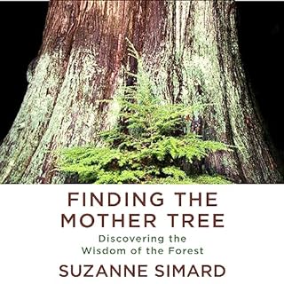 Finding the Mother Tree Audiolibro Por Suzanne Simard arte de portada