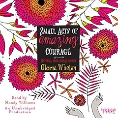 Small Acts of Amazing Courage cover art