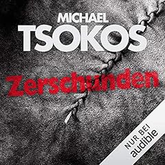 Zerschunden cover art