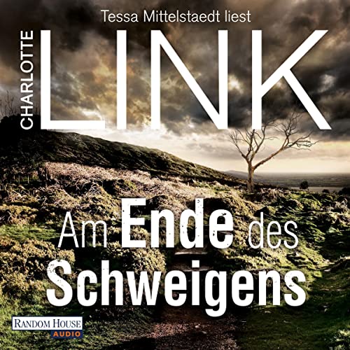 Am Ende des Schweigens cover art