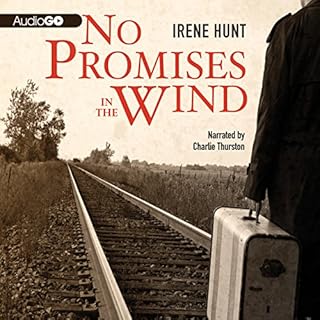 No Promises in the Wind Audiolibro Por Irene Hunt arte de portada