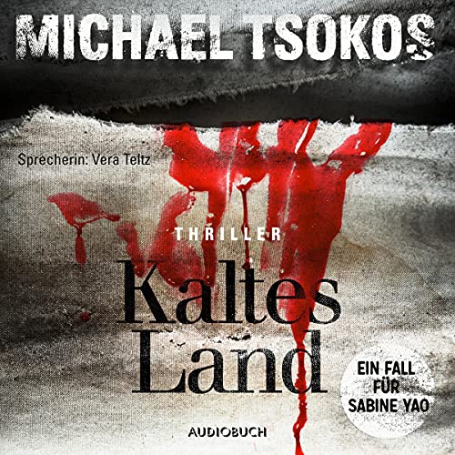 Kaltes Land cover art