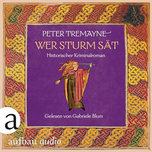 Wer Sturm sät - Historischer Kriminalroman Audiolivro Por Peter Tremayne, Bela Wohl - Übersetzer capa