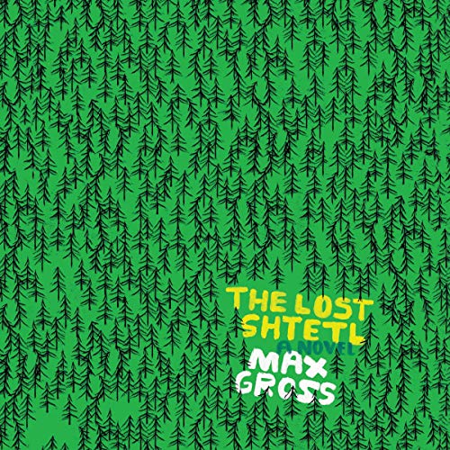 The Lost Shtetl Audiobook By Max Gross cover art