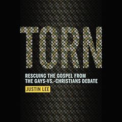 Torn Audiolibro Por Justin Lee arte de portada