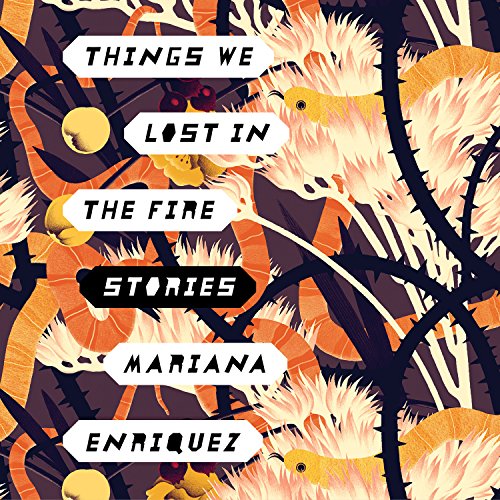 Page de couverture de Things We Lost in the Fire