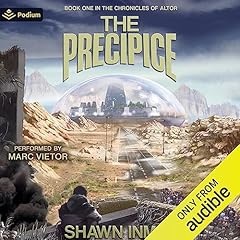 The Precipice cover art