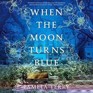 When the Moon Turns Blue Audiobook By Pamela Terry cover art