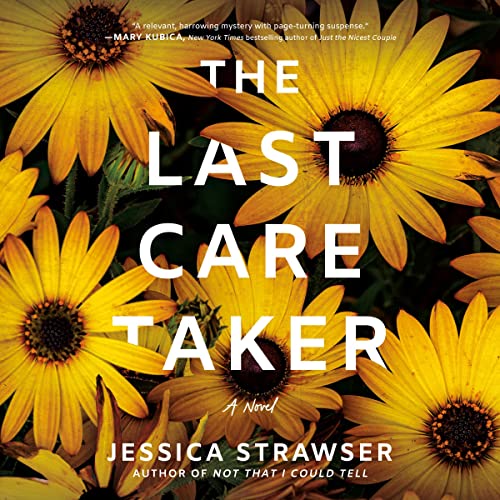 The Last Caretaker cover art