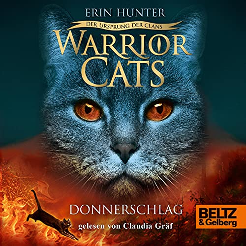 Donnerschlag cover art