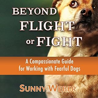 Beyond Flight or Fight Audiolibro Por Sunny Weber arte de portada