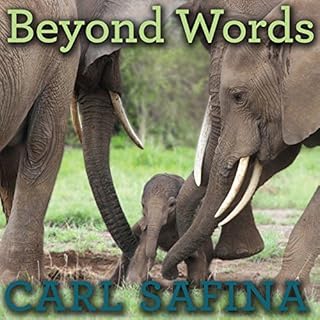 Beyond Words Audiobook By Carl Safina cover art