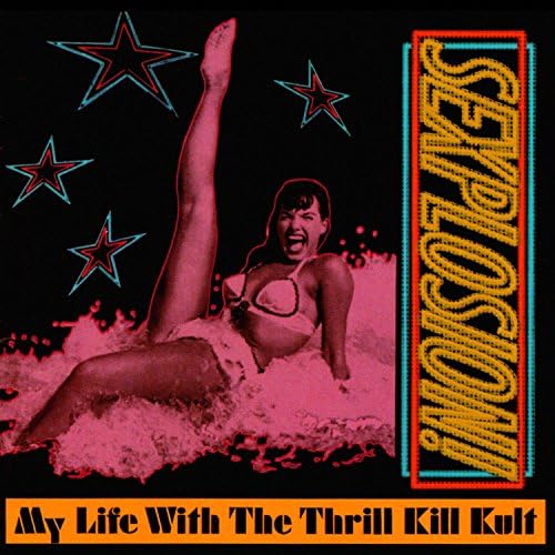 My Life With The Thrill Kill Kult