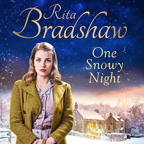 Page de couverture de One Snowy Night